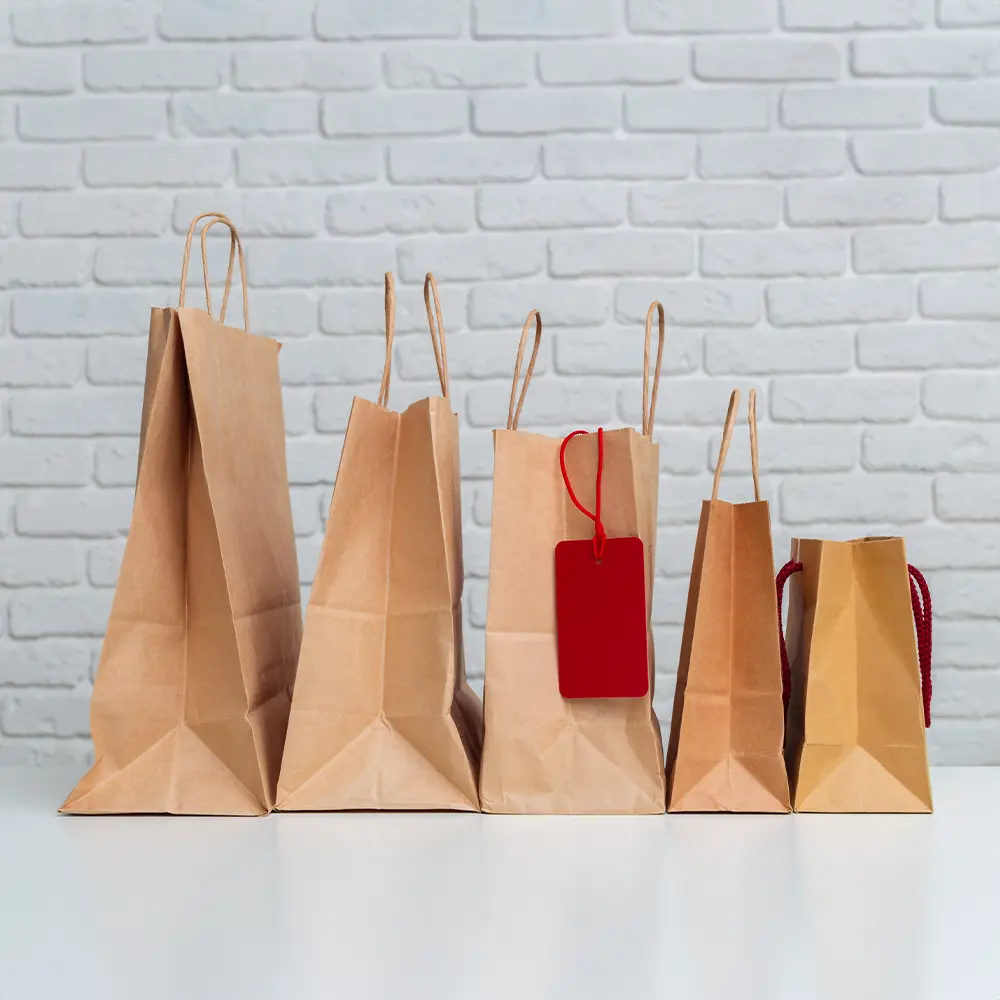 Eco-friendly paper bag