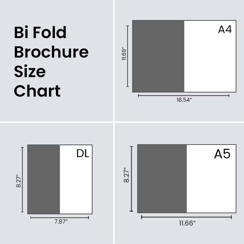 Minimalist bi-fold brochure size chart graphic displaying open dimensions in inches for A4, DL, and A5 paper sizes.