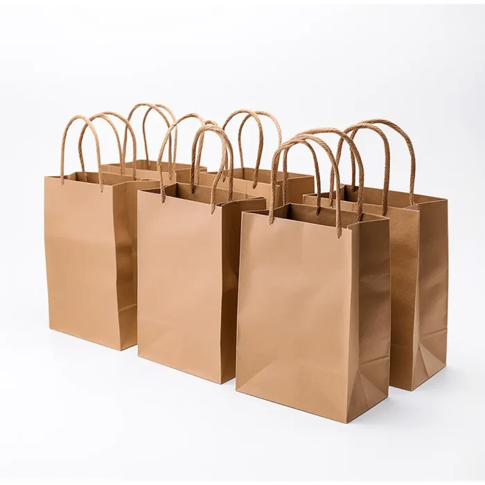 Brown paper bag with handles.