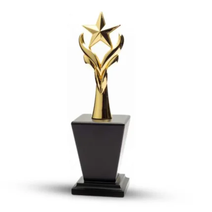 Elevate your event with Metal Star Trophies.