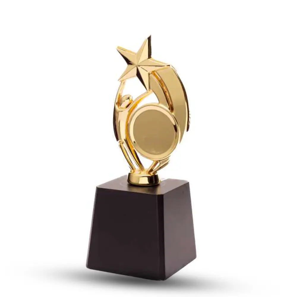 Custom metal star trophies