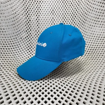 Embroidered Caps