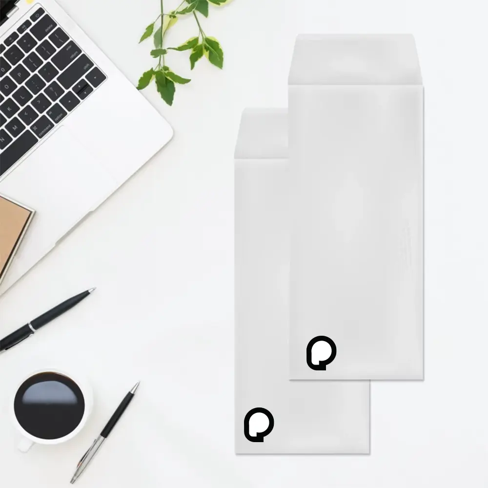 Standard #10 Business Envelopes for Mailing Documents