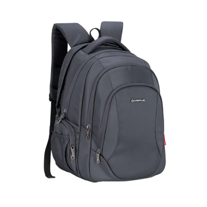 Durable and spacious Pluto DX Laptop Backpack