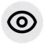 vision icon
